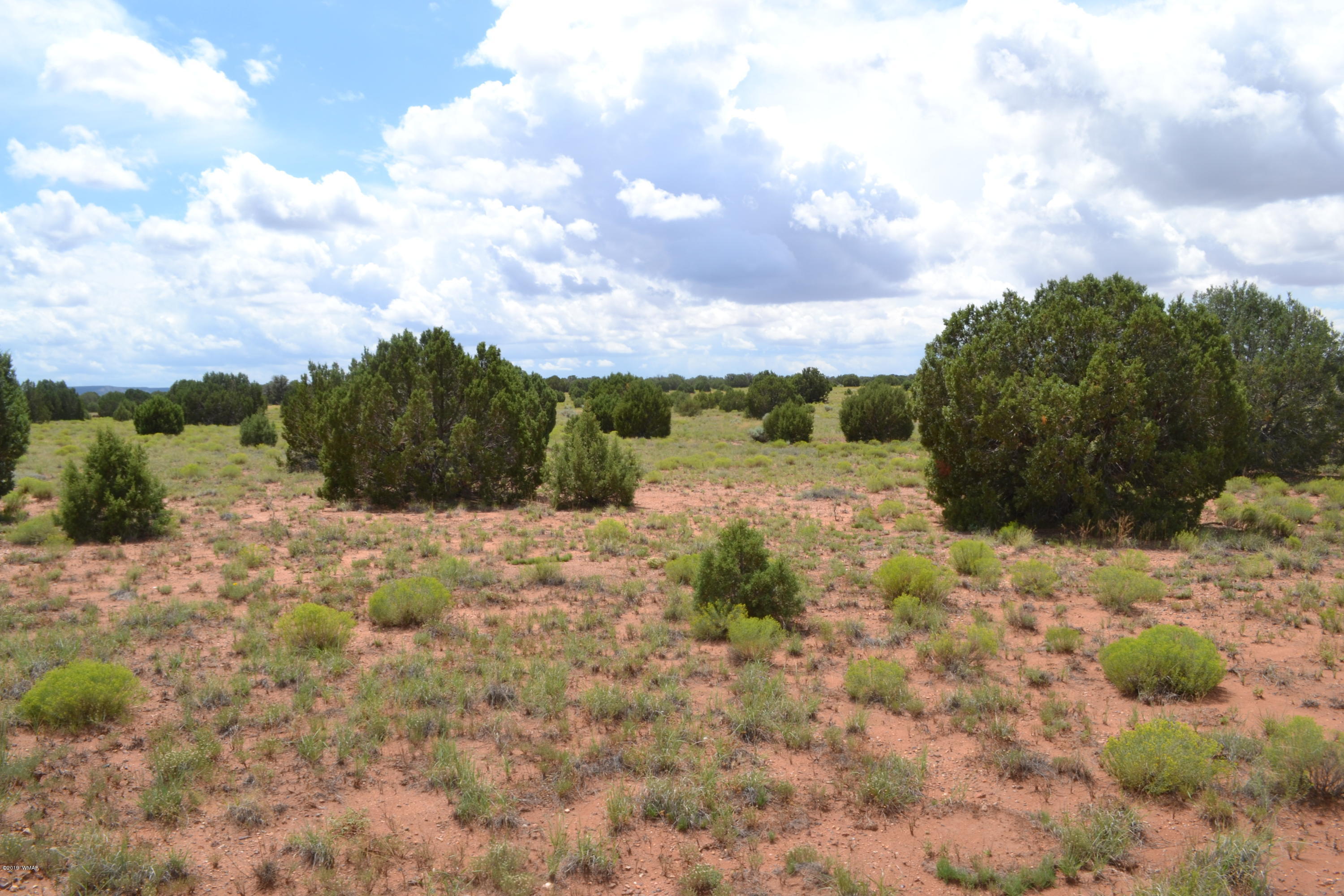 5575 Concho Az 85924 Concho, AZ 85924 - Photo 7 of 13