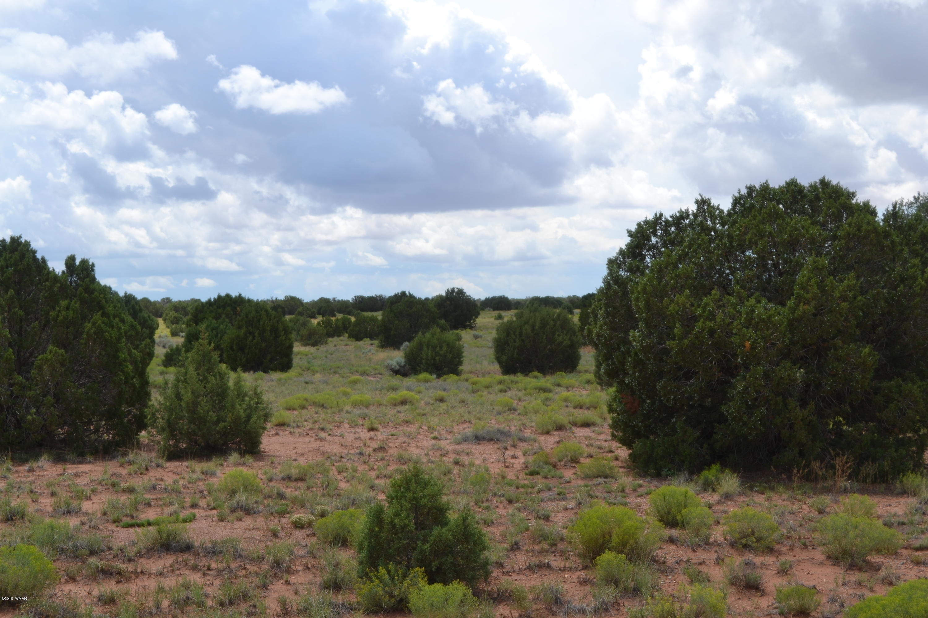5575 Concho Az 85924 Concho, AZ 85924 - Photo 10 of 13
