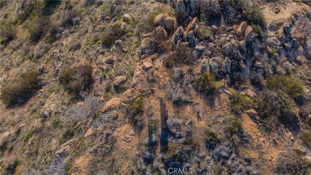 0 Lawghlin Road Hemet, CA 92543 - Photo 16 of 19 a view of a forest