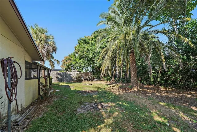 a view of a house with backyard and a tree