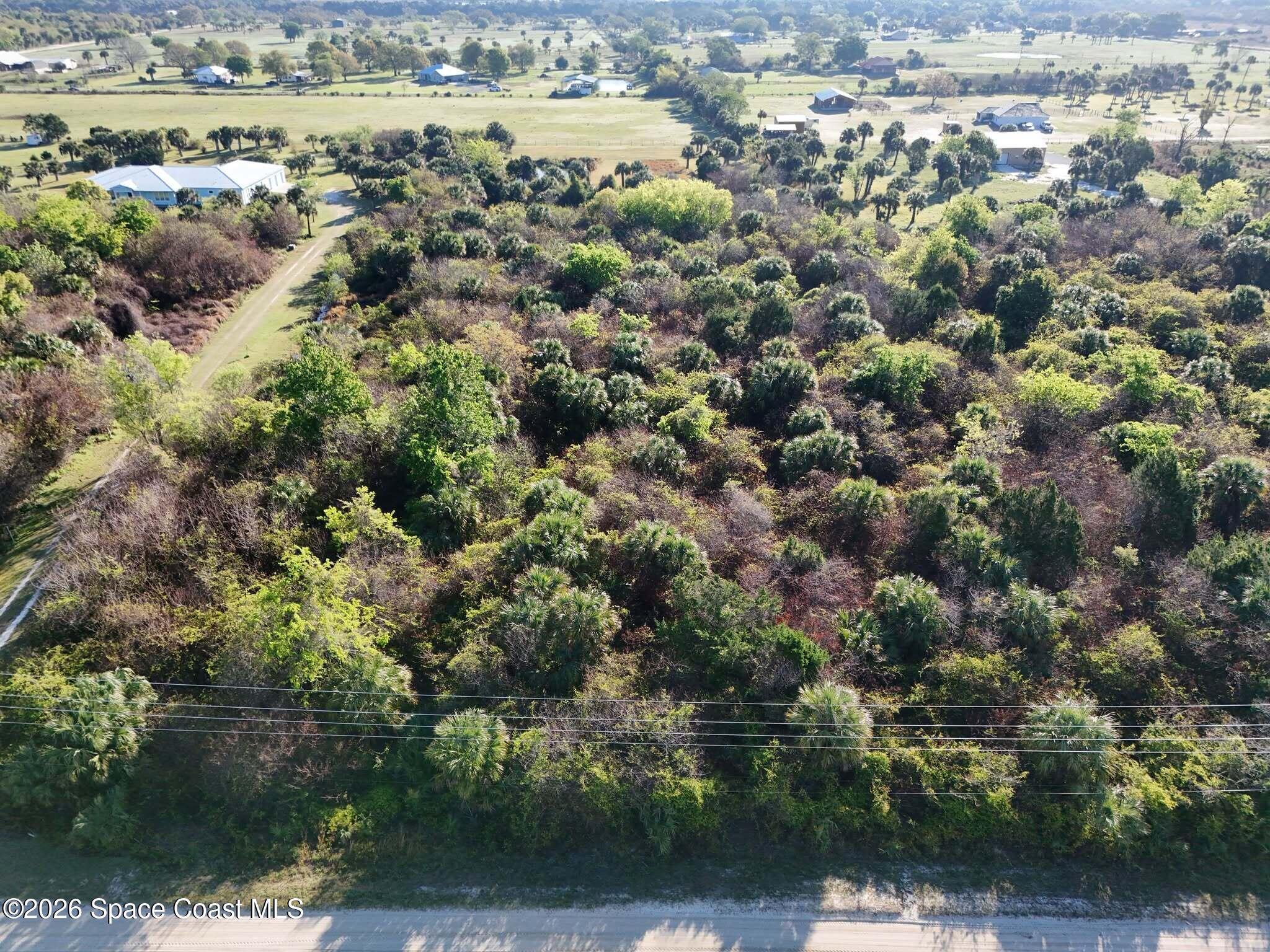 6215 Dixie Way Mims, FL 32754 - Photo 3 of 5 an aerial view of residential houses with outdoor space and trees