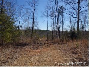 0 Owl Hollow Road Mill Spring, NC 28756 - Photo 4 of 5 a view of a yard