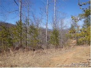 0 Owl Hollow Road Mill Spring, NC 28756 - Photo 5 of 5 a view of a dry yard