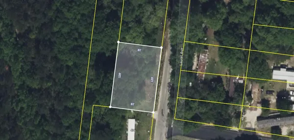 $5,000 | Xxx South Laurel Avenue, Denmark, SC 29042