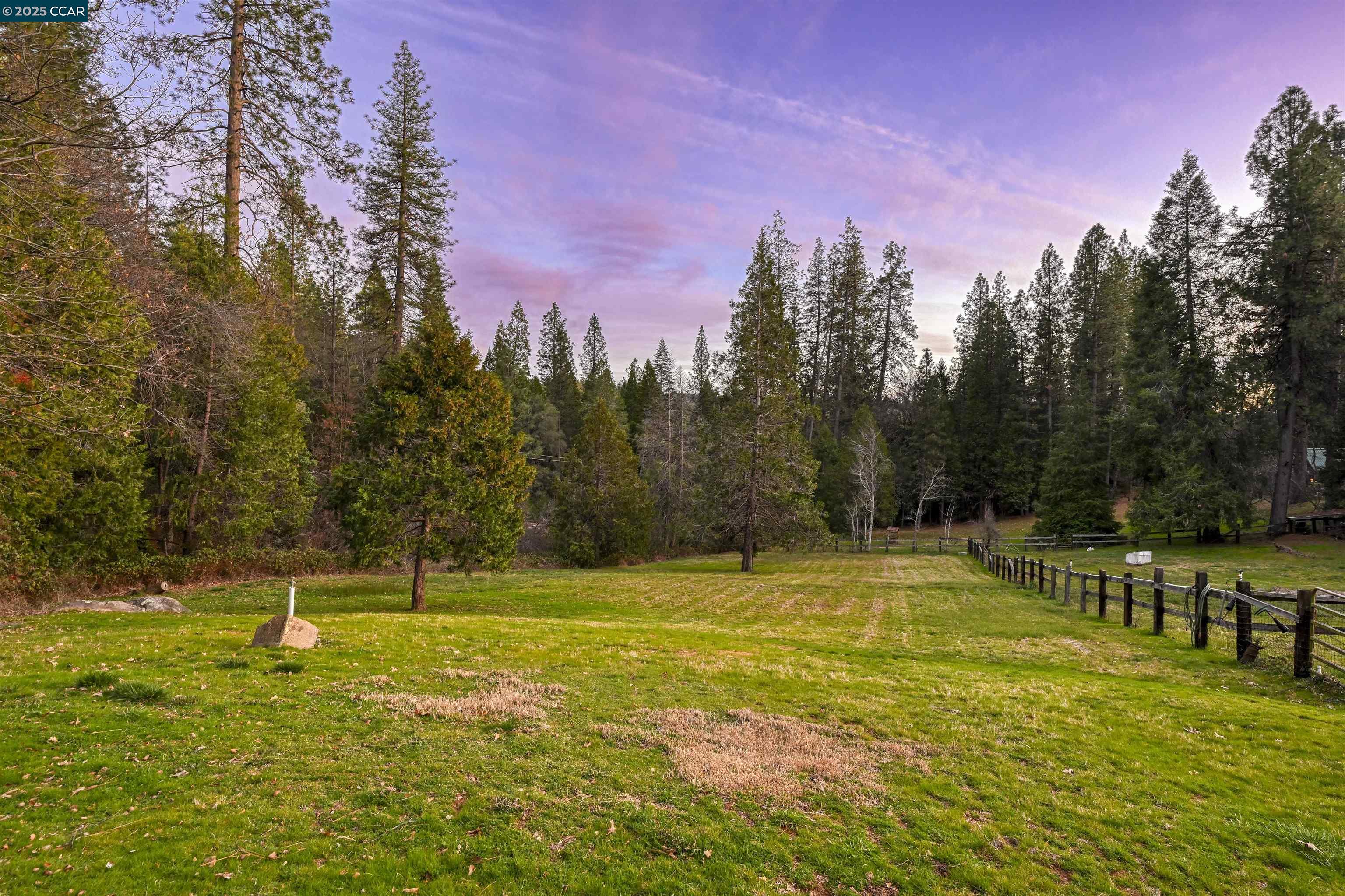 11417 Red Dog Road Nevada City, CA 95959 - Photo 53 of 56