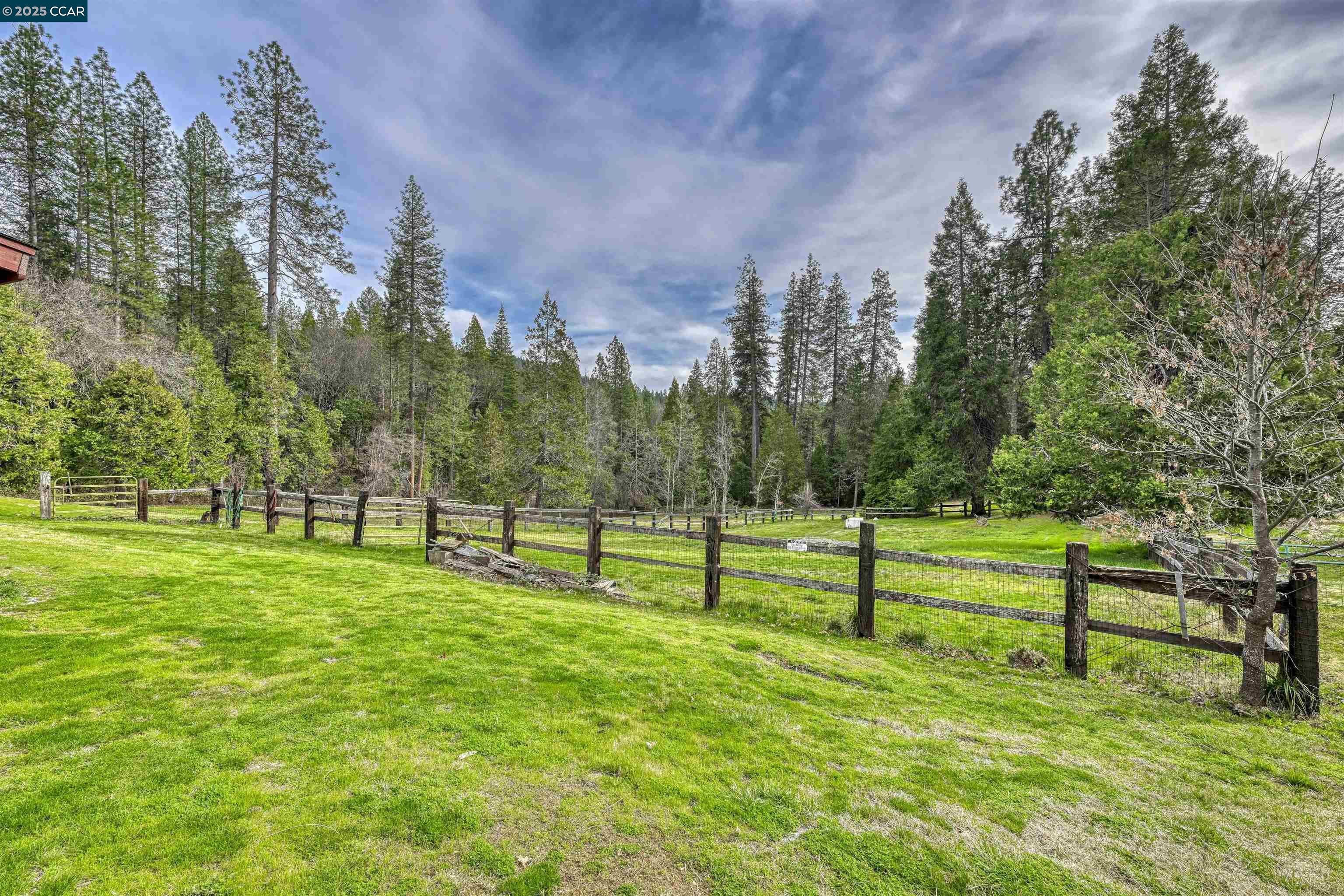 11417 Red Dog Road Nevada City, CA 95959 - Photo 54 of 56 a view of park benches