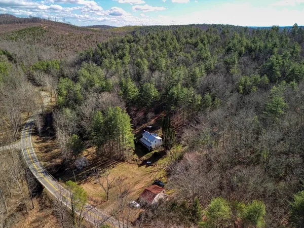 a view of a forest with a forest