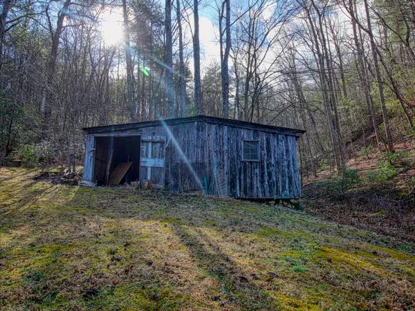 a view of backyard of house