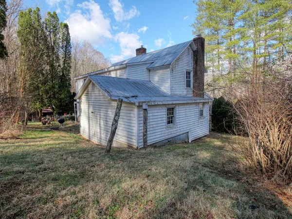 a view of a park with large trees