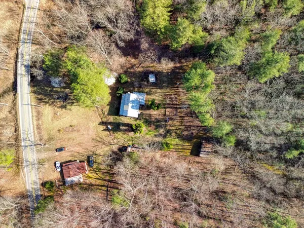 a view of a lush green hillside and a mountain