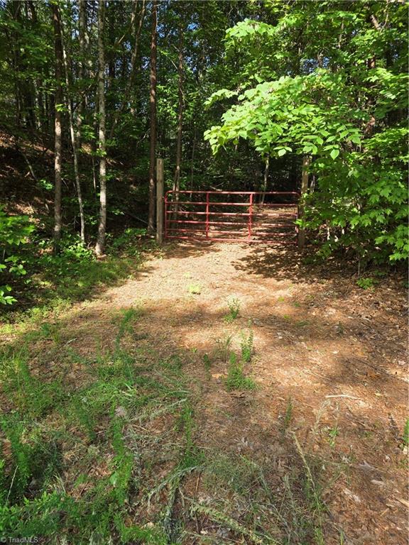 Xx 31.85-ac Xx 31.85-ac Hampton Road Germanton, NC 27019 - Photo 21 of 33