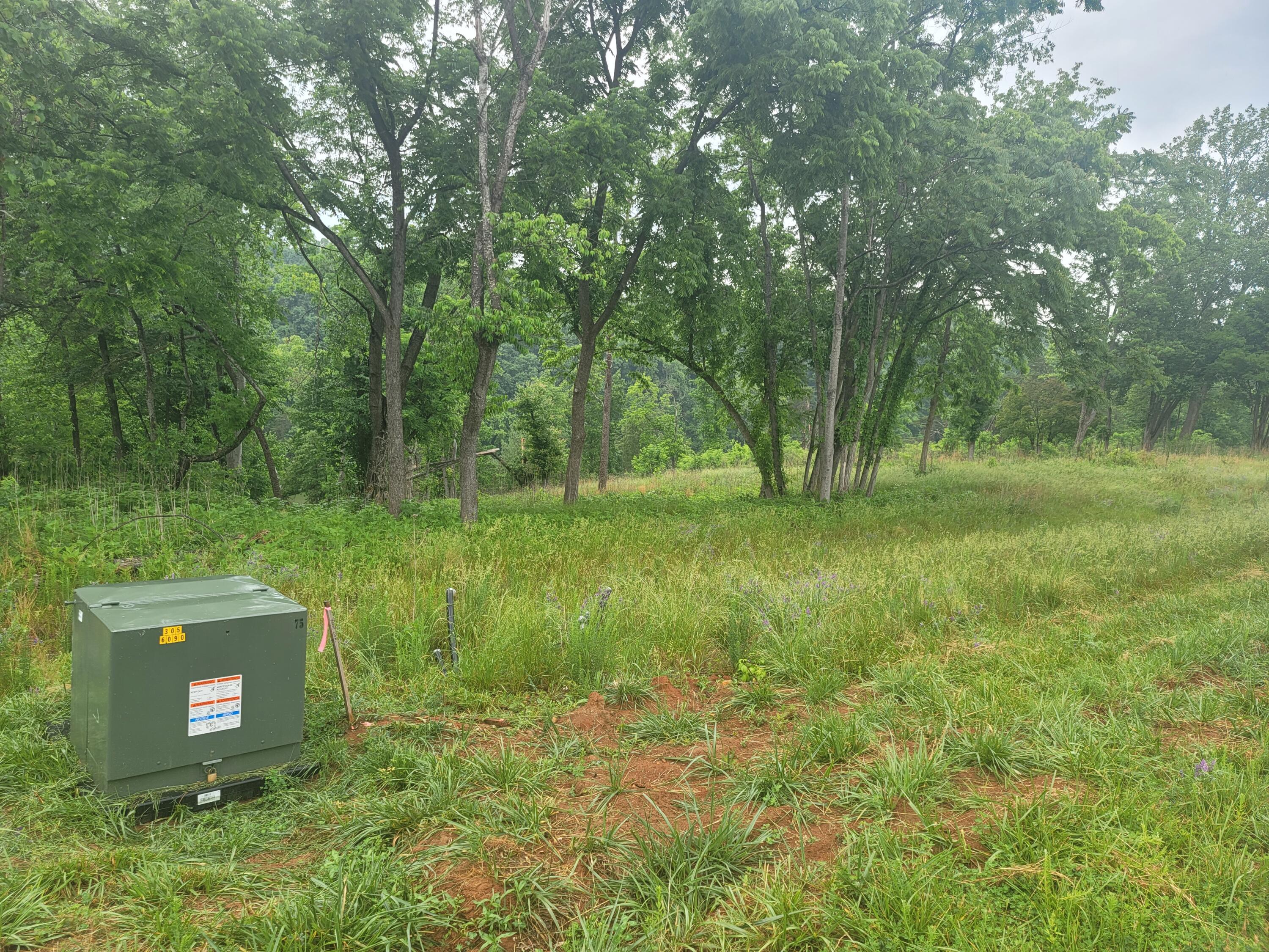1953 Moorman Road Hardy, VA 24101 - Photo 2 of 10 a view of a outdoor space
