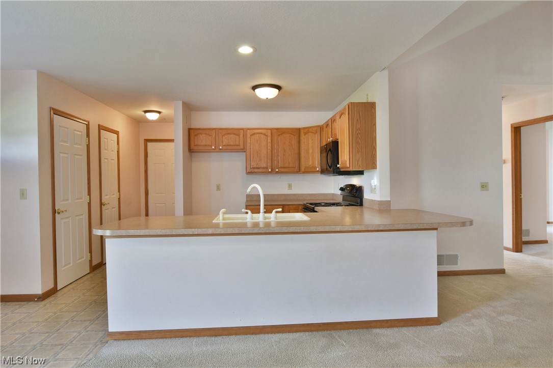 2033 East River Road, Unit 11 Newton Falls, OH 44444 - Photo 11 of 35 Kitchen with light countertops, light carpet, and black appliances