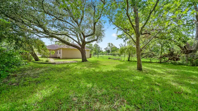 a view of park with trees