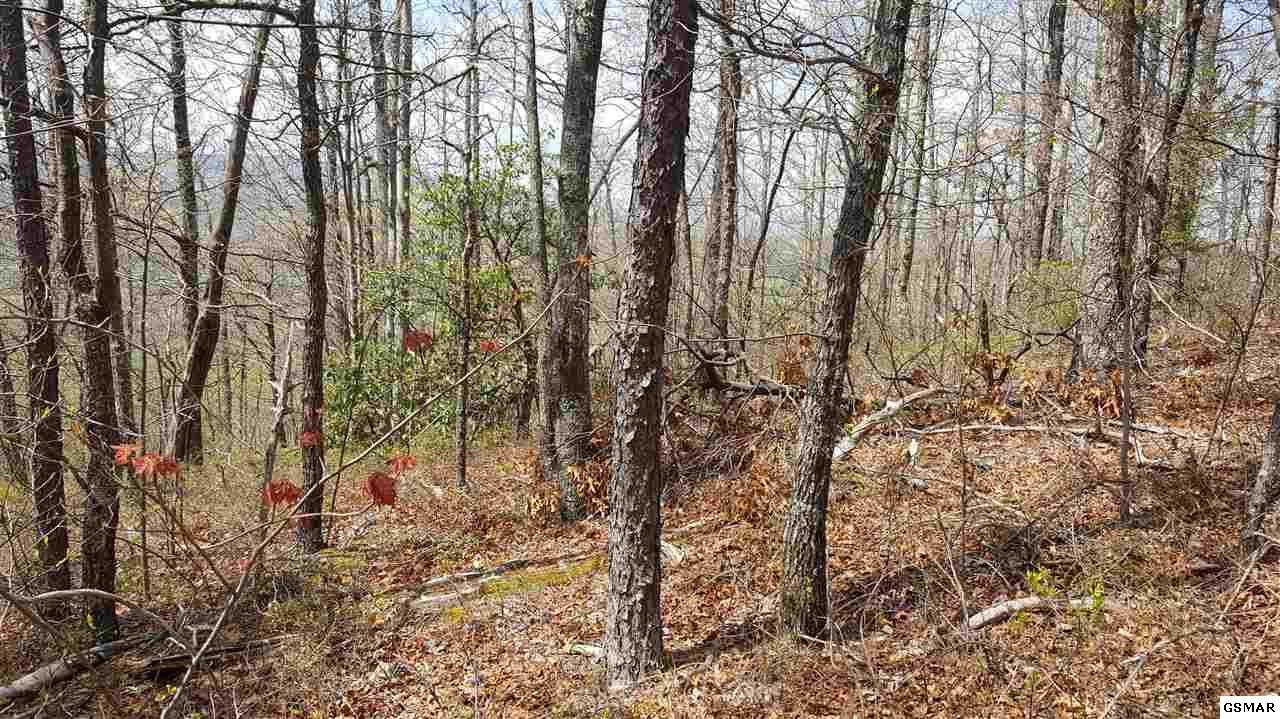 21 Cove Mountain Road Sevierville, TN 37862 - Photo 9 of 21 Gallery Image 9
