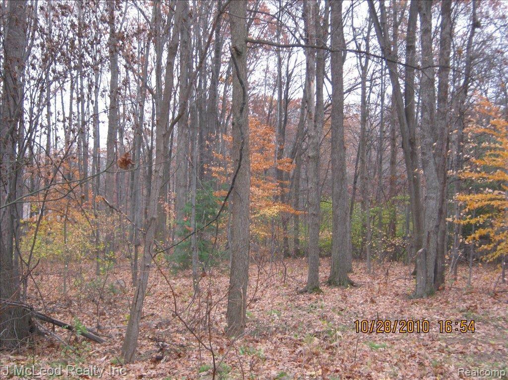 2360 Madsen Road Saginaw, MI 48601 - Photo 1 of 2 Woods
