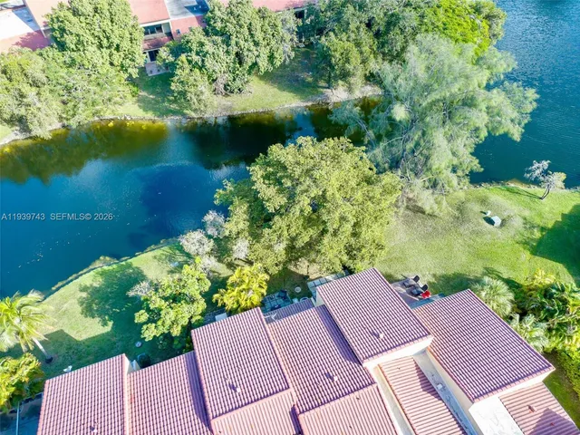 a view of a yard with plants
