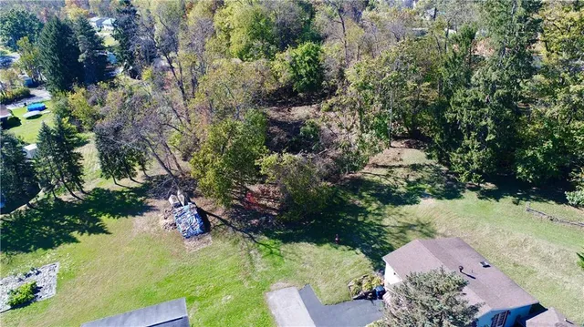 a view of a garden with plants and large trees
