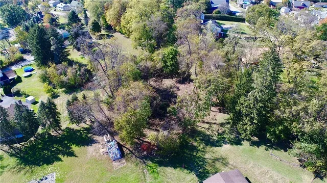 a view of a garden with plants
