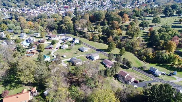 a view of a tree with a yard