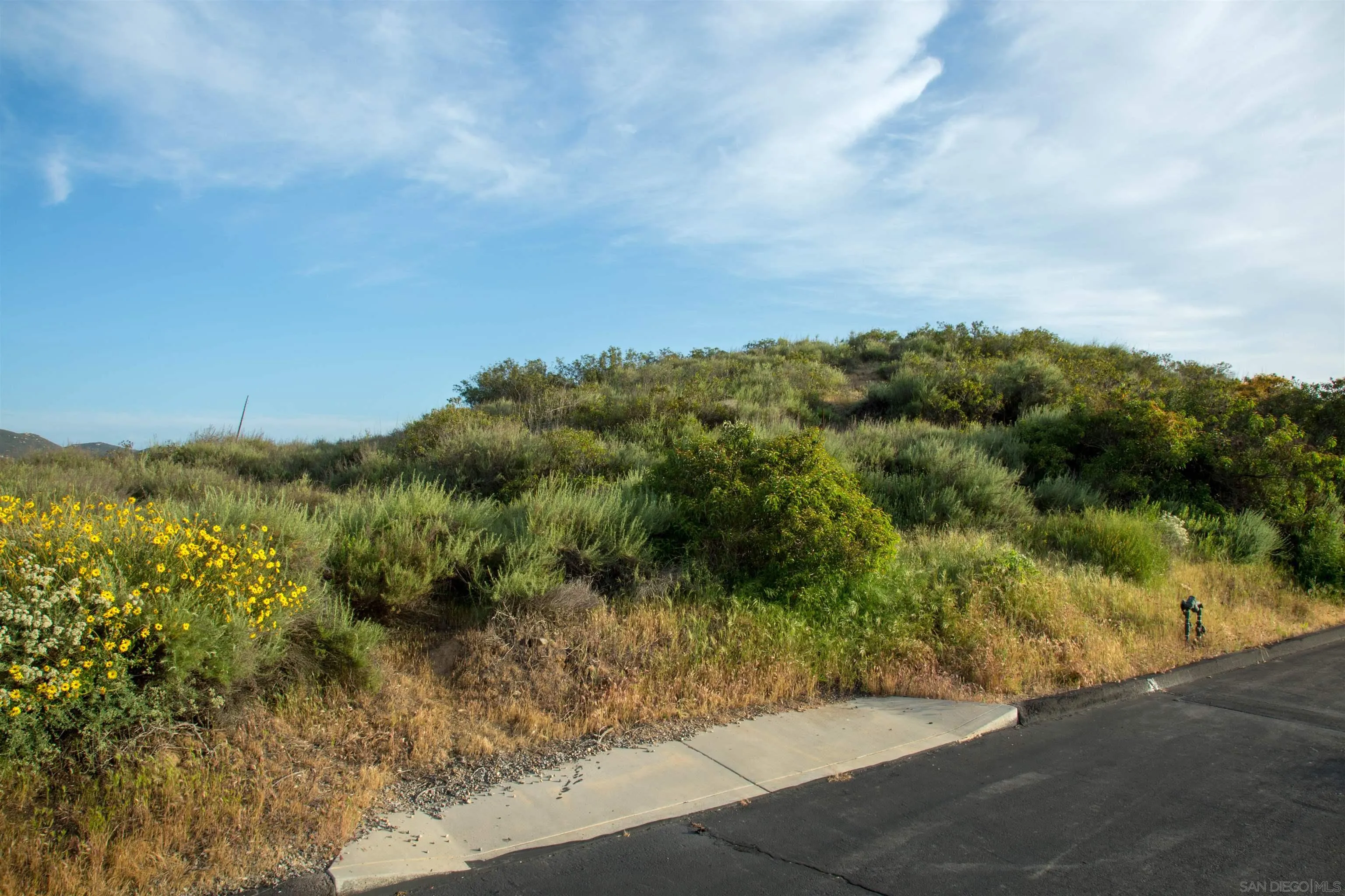 18035 Sunset Point, Unit 3 Poway, CA 92064 - Photo 38 of 62 a view of a lake with a yard