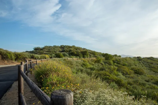 a view of a mountain in the distance in a field