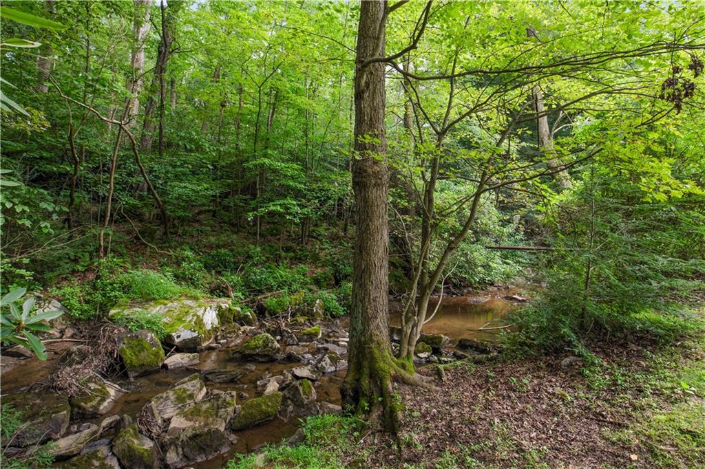 480 Freeman Falls Road Acme, PA 15610 - Photo 36 of 45 a view of a forest with a tree