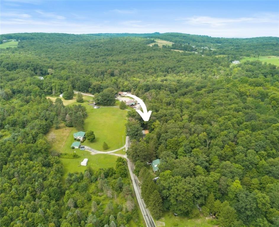 480 Freeman Falls Road Acme, PA 15610 - Photo 44 of 45 a view of a big yard with large trees