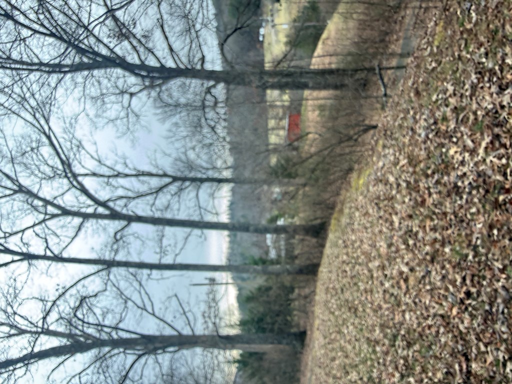 125 Moore View Drive Murphy, NC 28906 - Photo 27 of 49 a glass door with a tree in the background