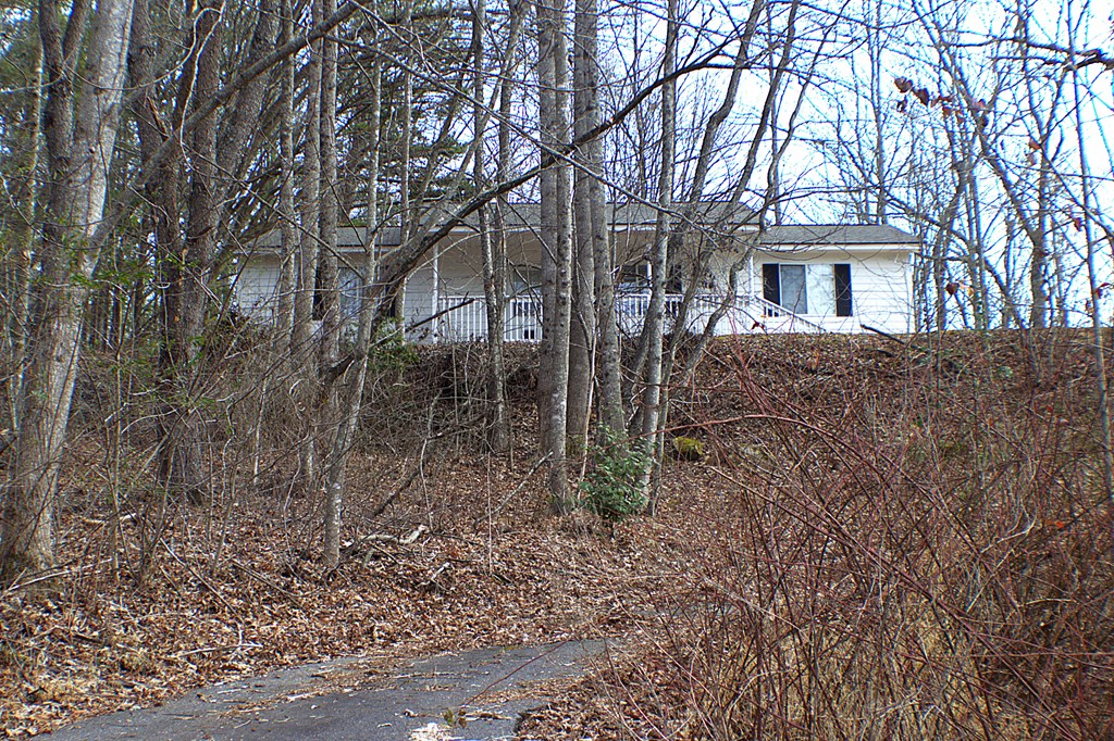 125 Moore View Drive Murphy, NC 28906 - Photo 32 of 49 a front view of a house with a trees