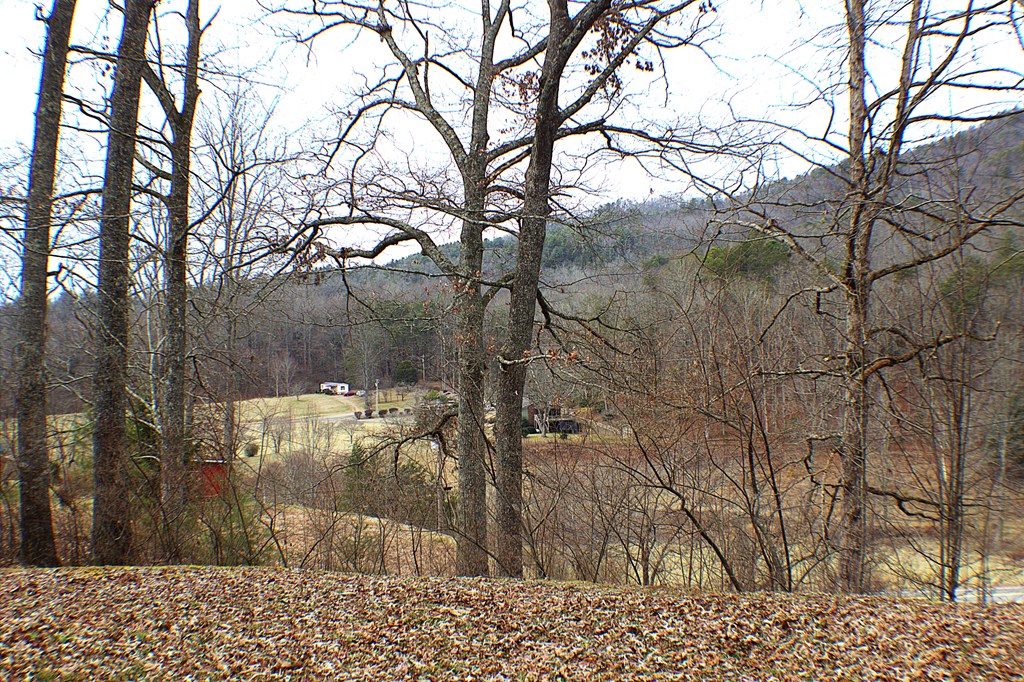 125 Moore View Drive Murphy, NC 28906 - Photo 33 of 49 a view of a yard