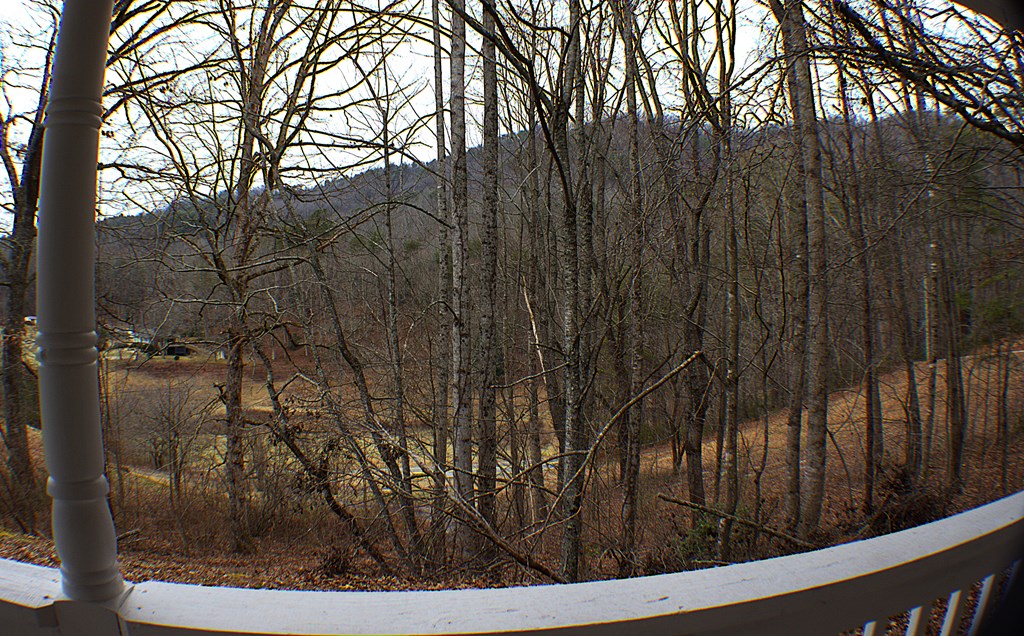 125 Moore View Drive Murphy, NC 28906 - Photo 34 of 49 a view of outdoor space and yard