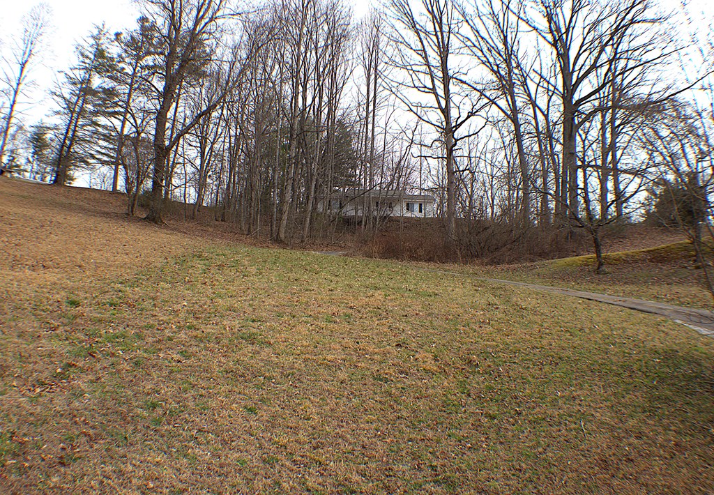 125 Moore View Drive Murphy, NC 28906 - Photo 35 of 49 a view of patio yard and trees