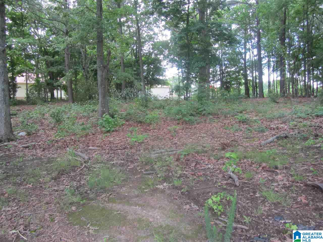 0 County Road 578, Unit 10 Centre, AL 35960 - Photo 12 of 15