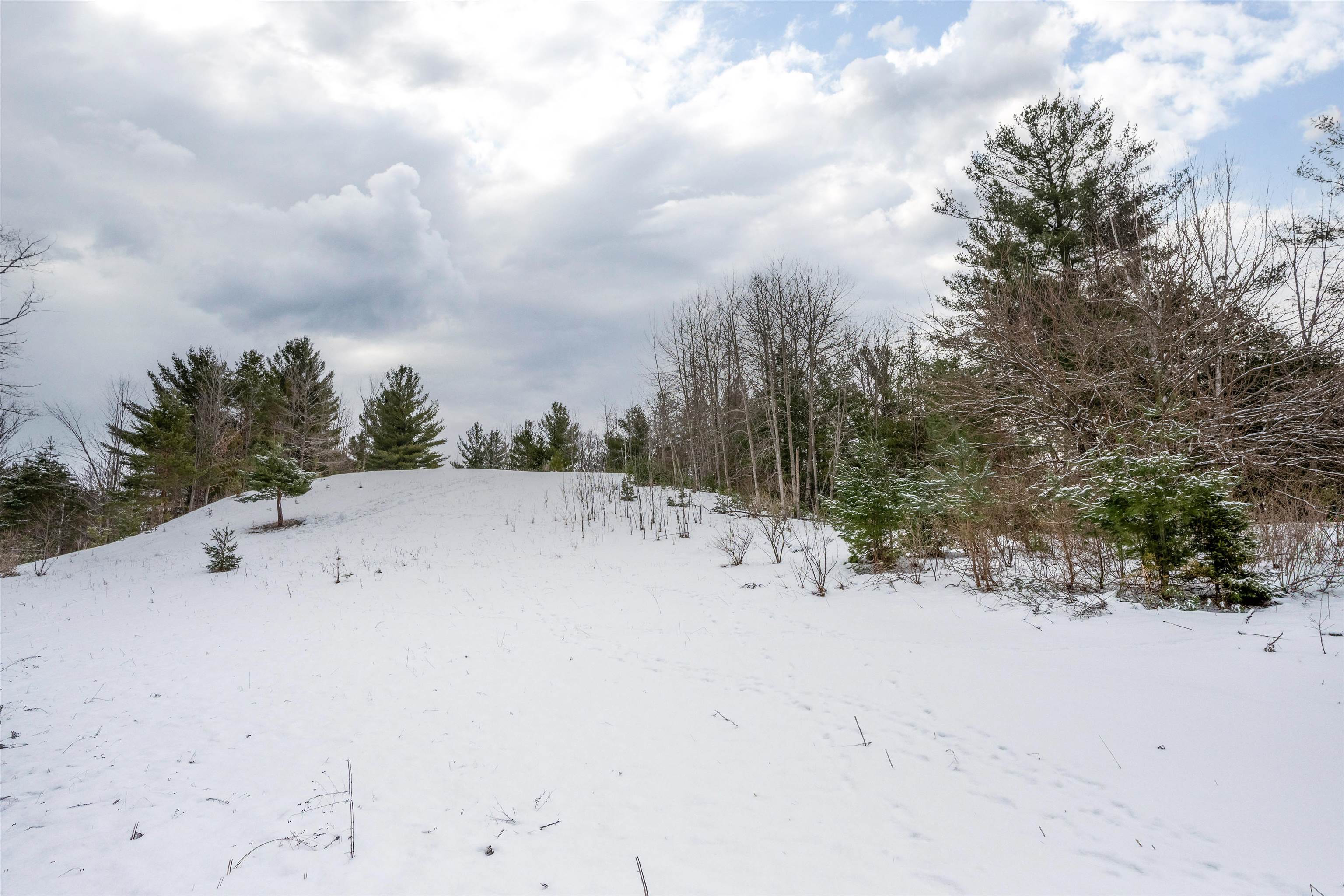 4196 East White Road Cedar, MI 49621 - Photo 64 of 85