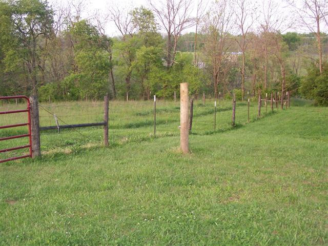 1574 Donaldson Road Winchester, KY 40391 - Photo 32 of 41 Photo 32