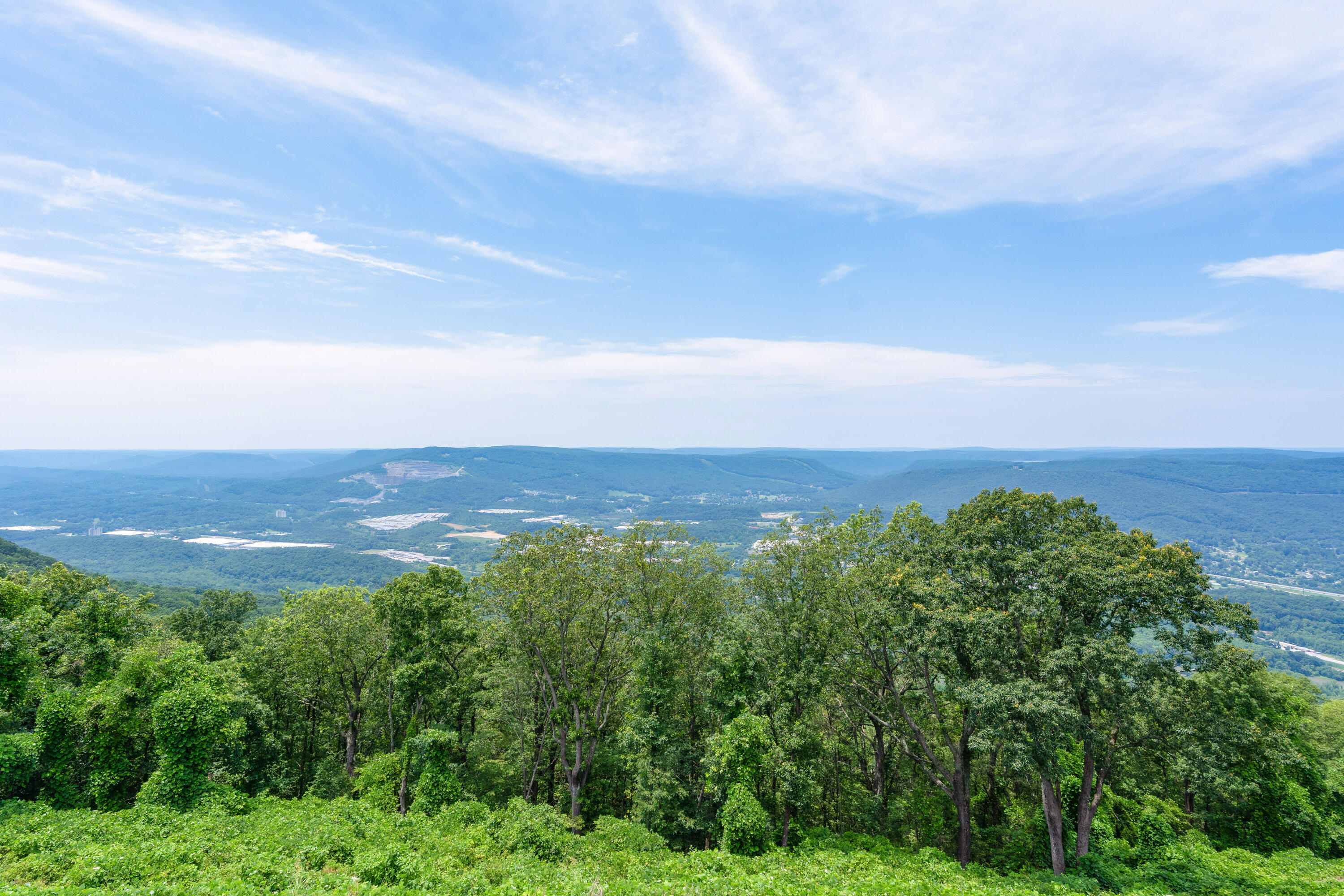802 West Brow Road Lookout Mountain, TN 37350 - Photo 31 of 116 47 - 802 W Brow - Main