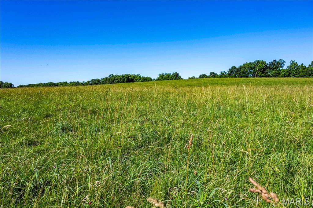 0 County 455 Road New Franklin, MO 65274 - Photo 7 of 67