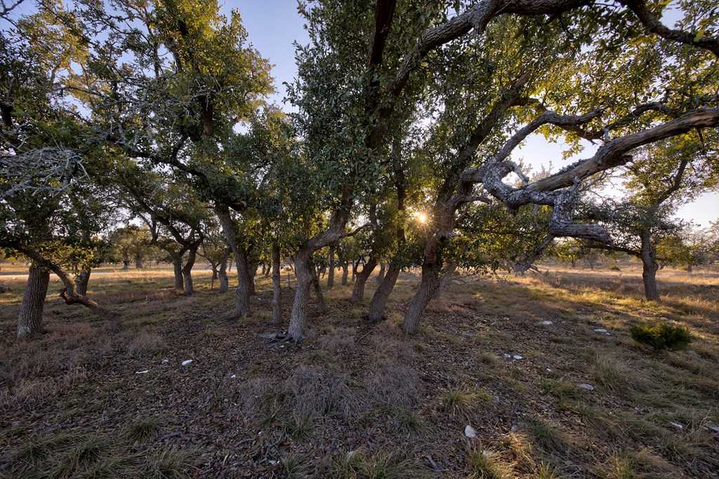 7 Stevens Ranch Road, Unit 7 Harper, TX 78631 - Photo 12 of 31
