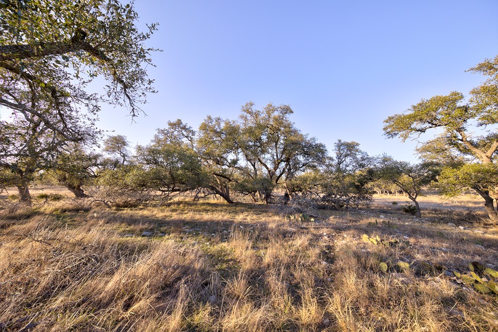 7 Stevens Ranch Road, Unit 7 Harper, TX 78631 - Photo 13 of 31