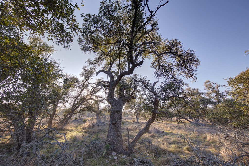 7 Stevens Ranch Road, Unit 7 Harper, TX 78631 - Photo 14 of 31