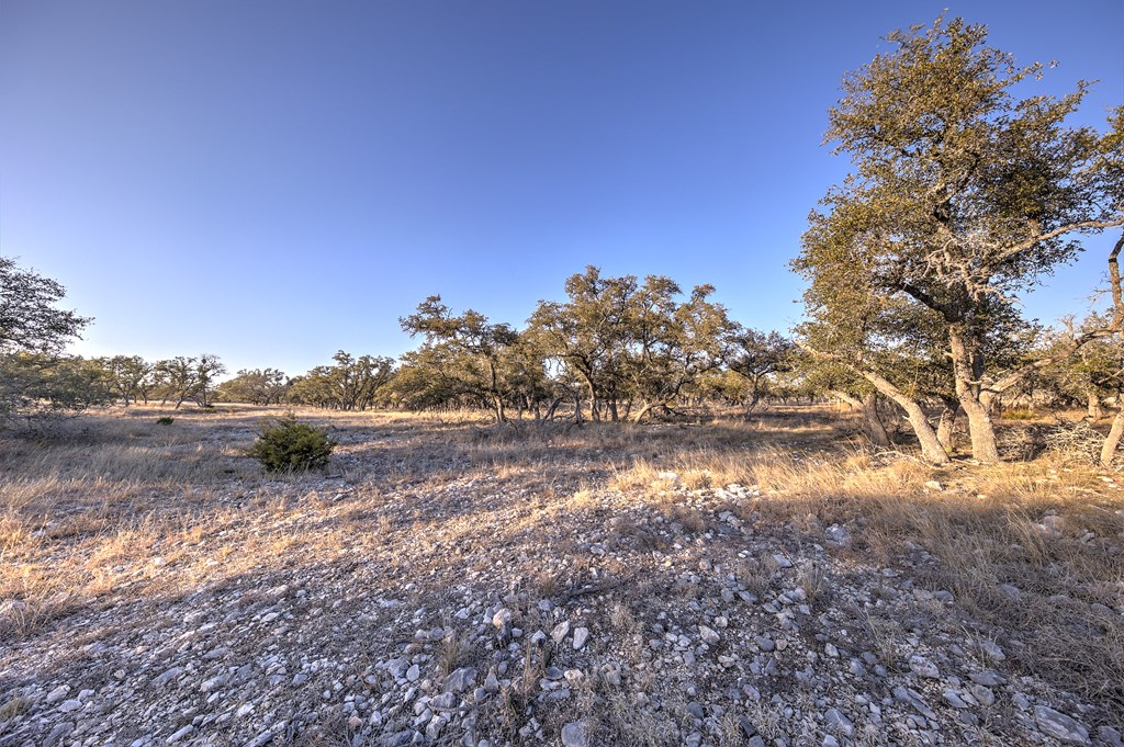 7 Stevens Ranch Road, Unit 7 Harper, TX 78631 - Photo 15 of 31