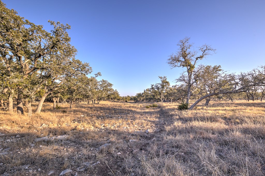 7 Stevens Ranch Road, Unit 7 Harper, TX 78631 - Photo 16 of 31