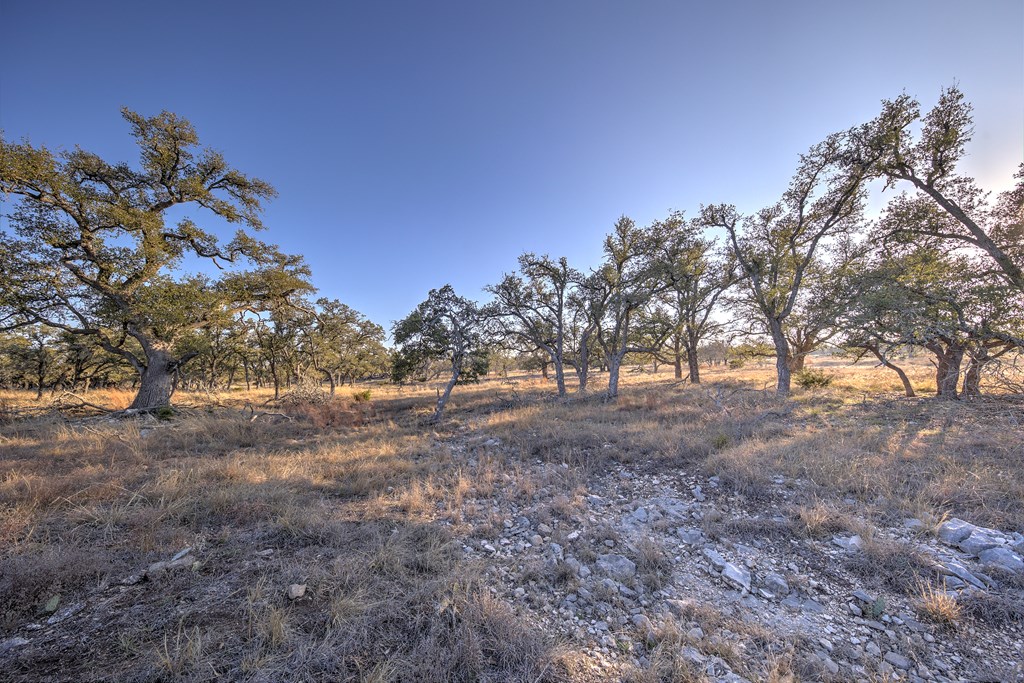7 Stevens Ranch Road, Unit 7 Harper, TX 78631 - Photo 17 of 31