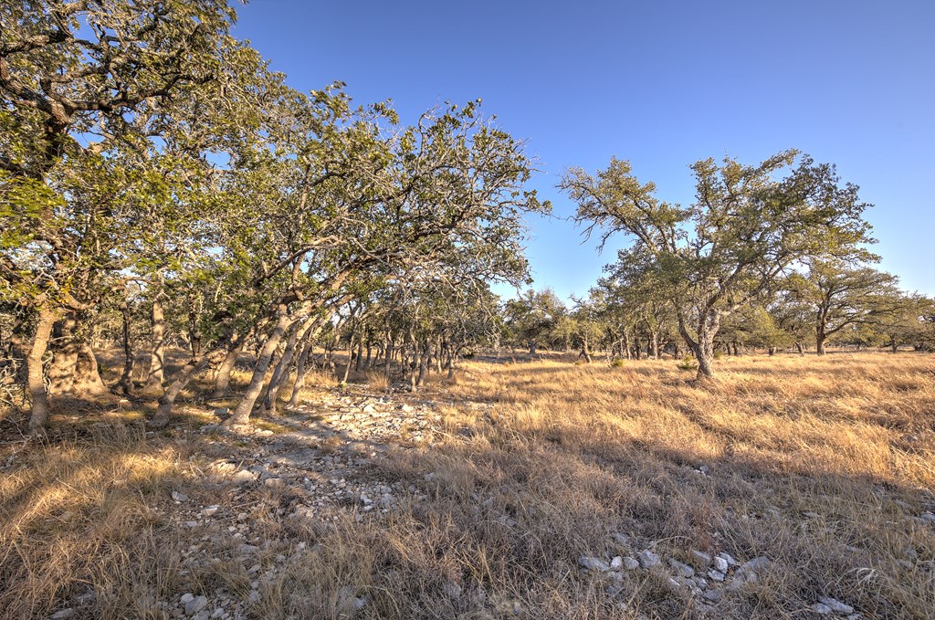 7 Stevens Ranch Road, Unit 7 Harper, TX 78631 - Photo 18 of 31