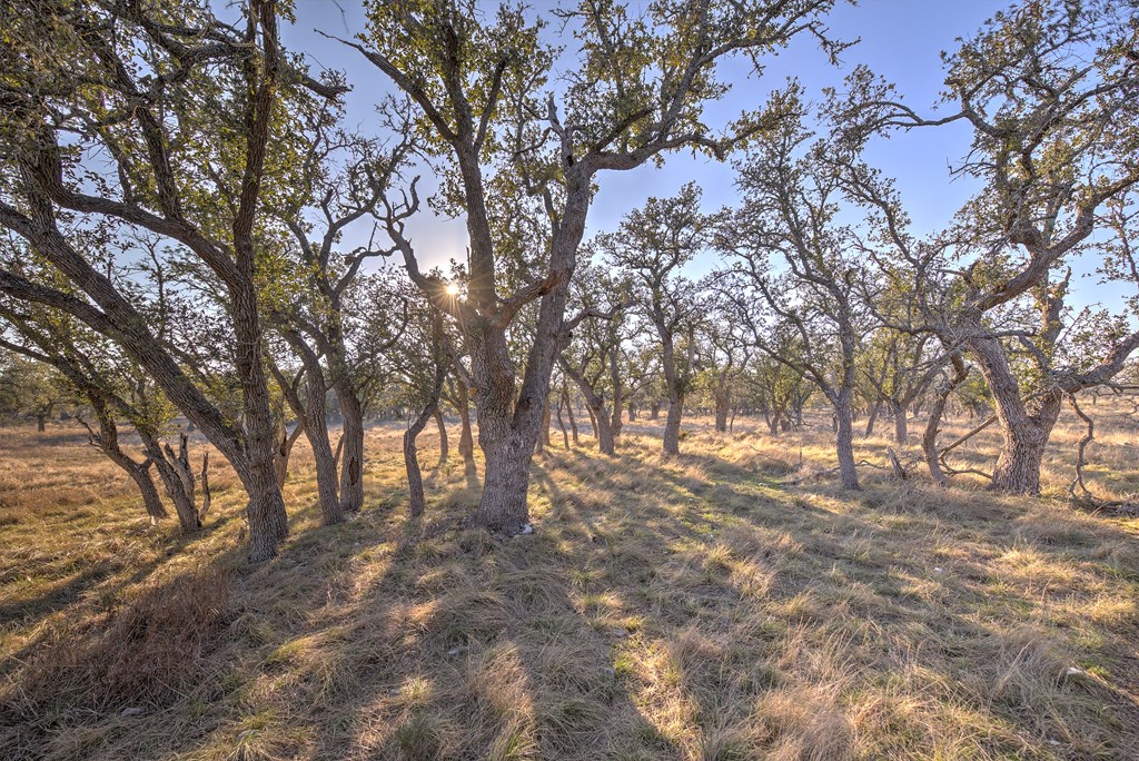 7 Stevens Ranch Road, Unit 7 Harper, TX 78631 - Photo 19 of 31