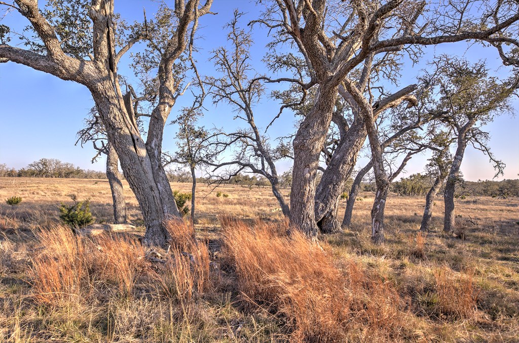 7 Stevens Ranch Road, Unit 7 Harper, TX 78631 - Photo 20 of 31