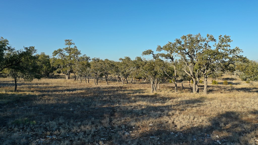 7 Stevens Ranch Road, Unit 7 Harper, TX 78631 - Photo 2 of 31