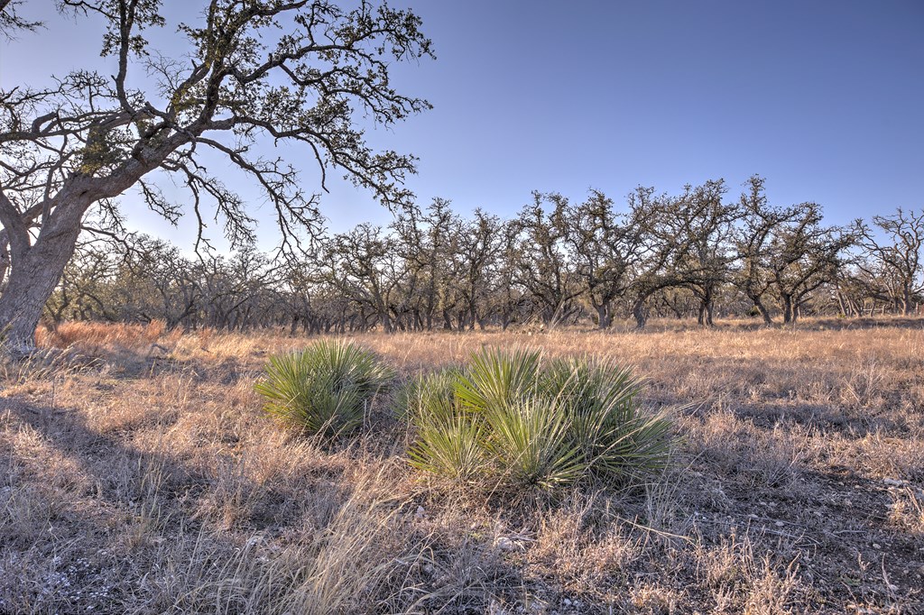 7 Stevens Ranch Road, Unit 7 Harper, TX 78631 - Photo 21 of 31