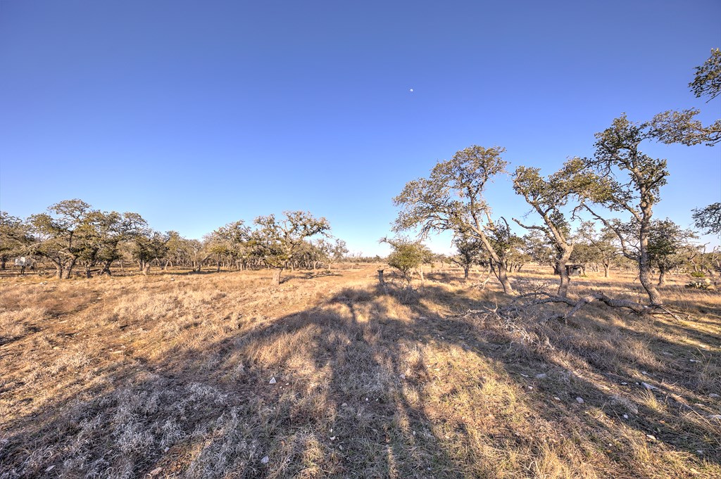 7 Stevens Ranch Road, Unit 7 Harper, TX 78631 - Photo 23 of 31
